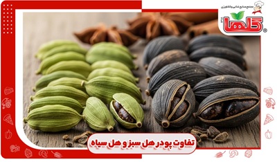 تفاوت پودر هل سبز و هل سیاه چیست؟ کدام بهتر است؟